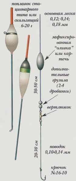 Болонская-удочка